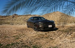 Car relit with Palm Light